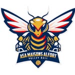 ASA Volley-ball