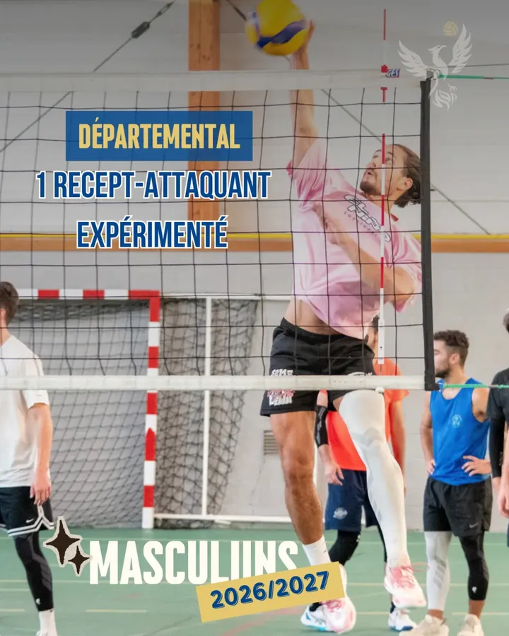 Image de l'annonce