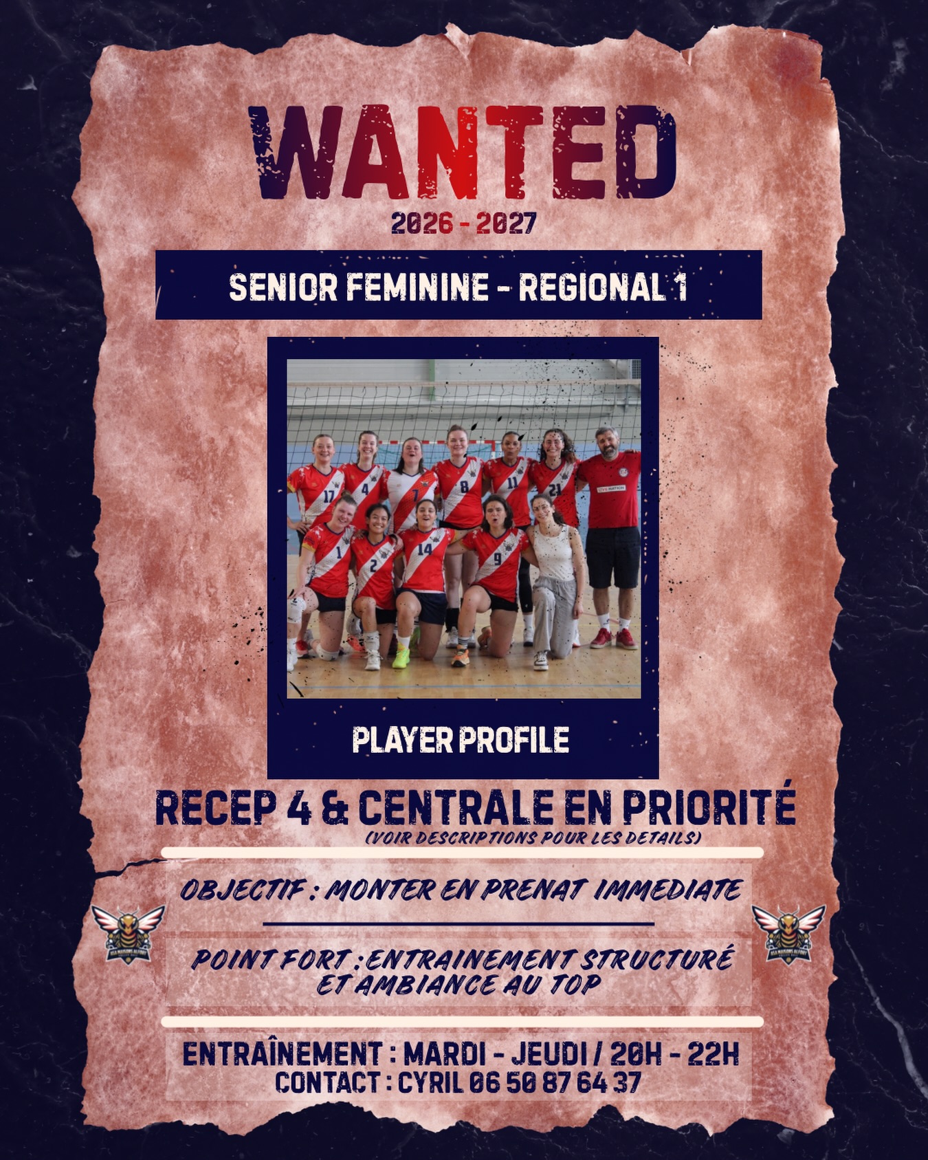 Image de l'annonce
