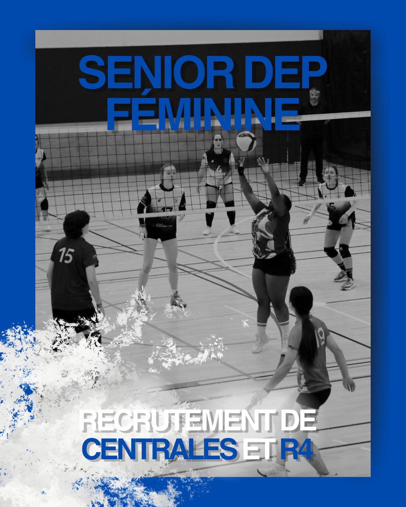 Image de l'annonce