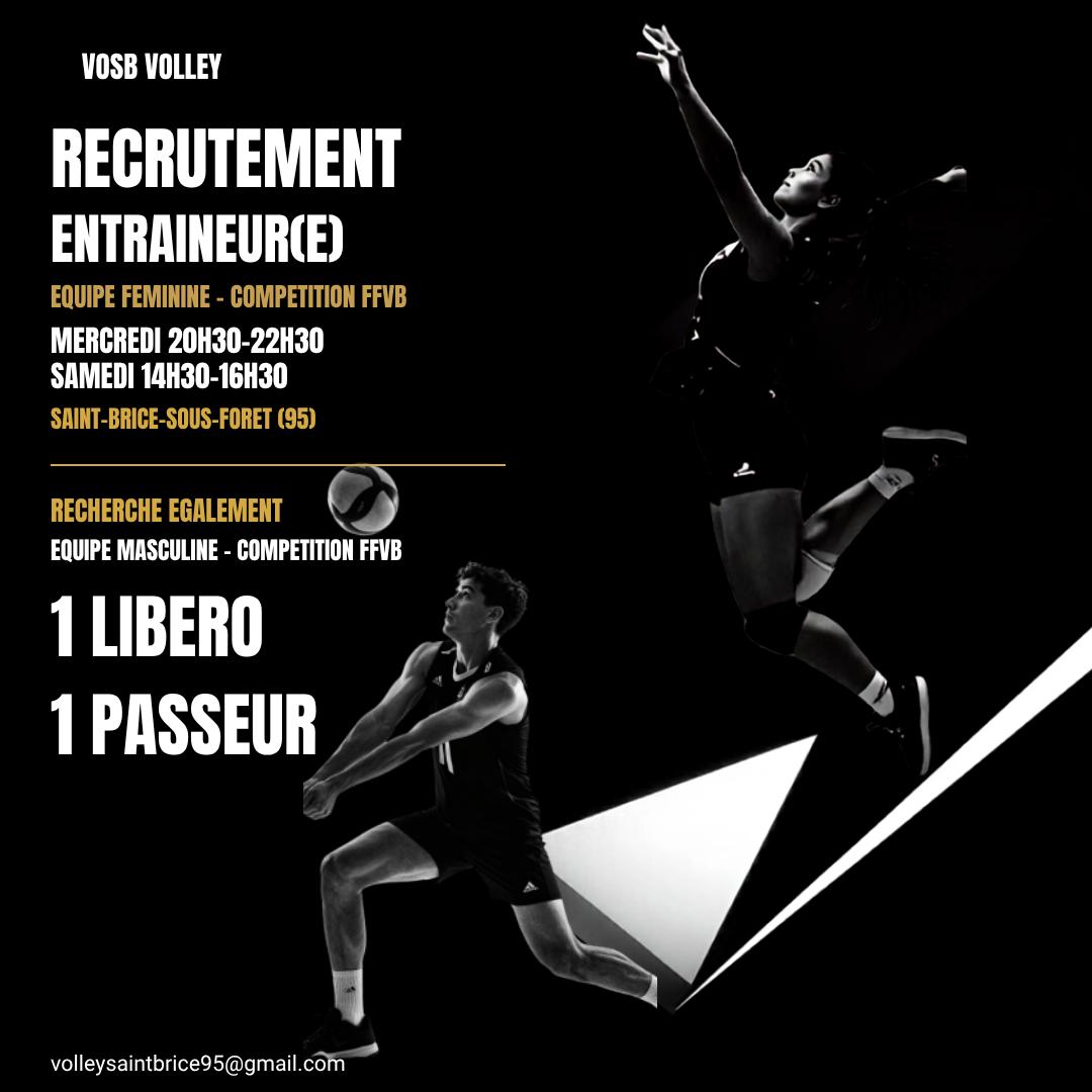 Image de l'annonce