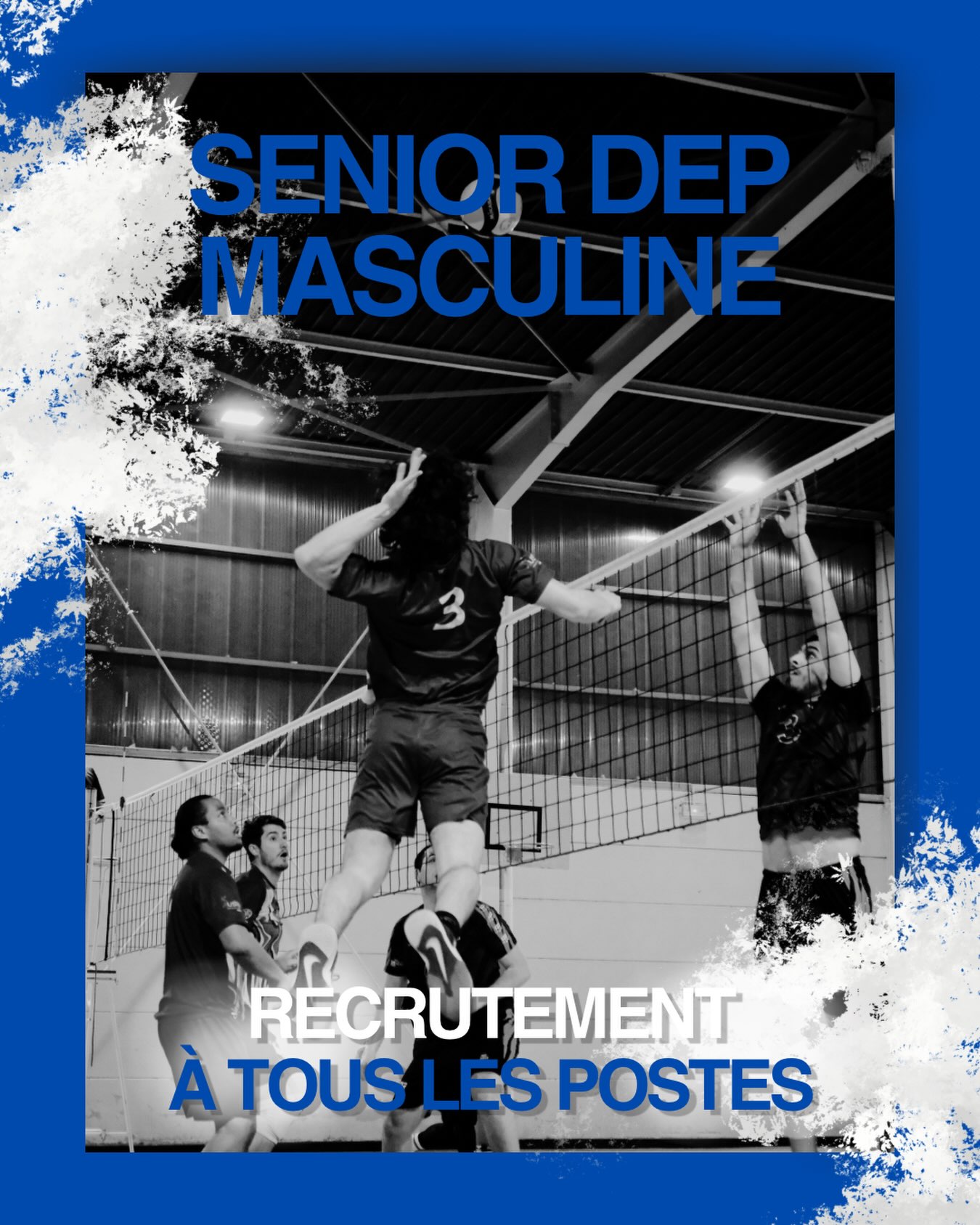 Image de l'annonce