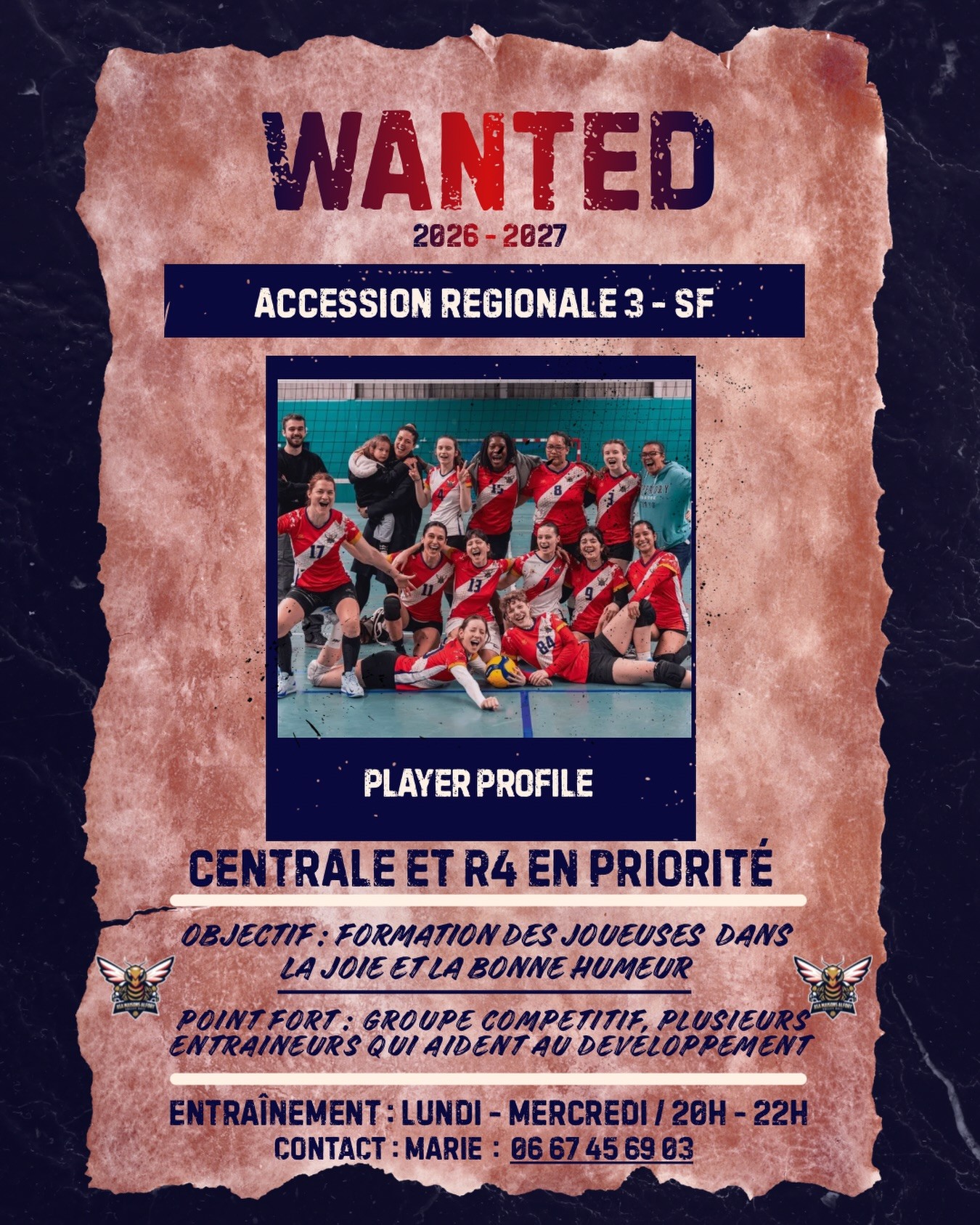 Image de l'annonce