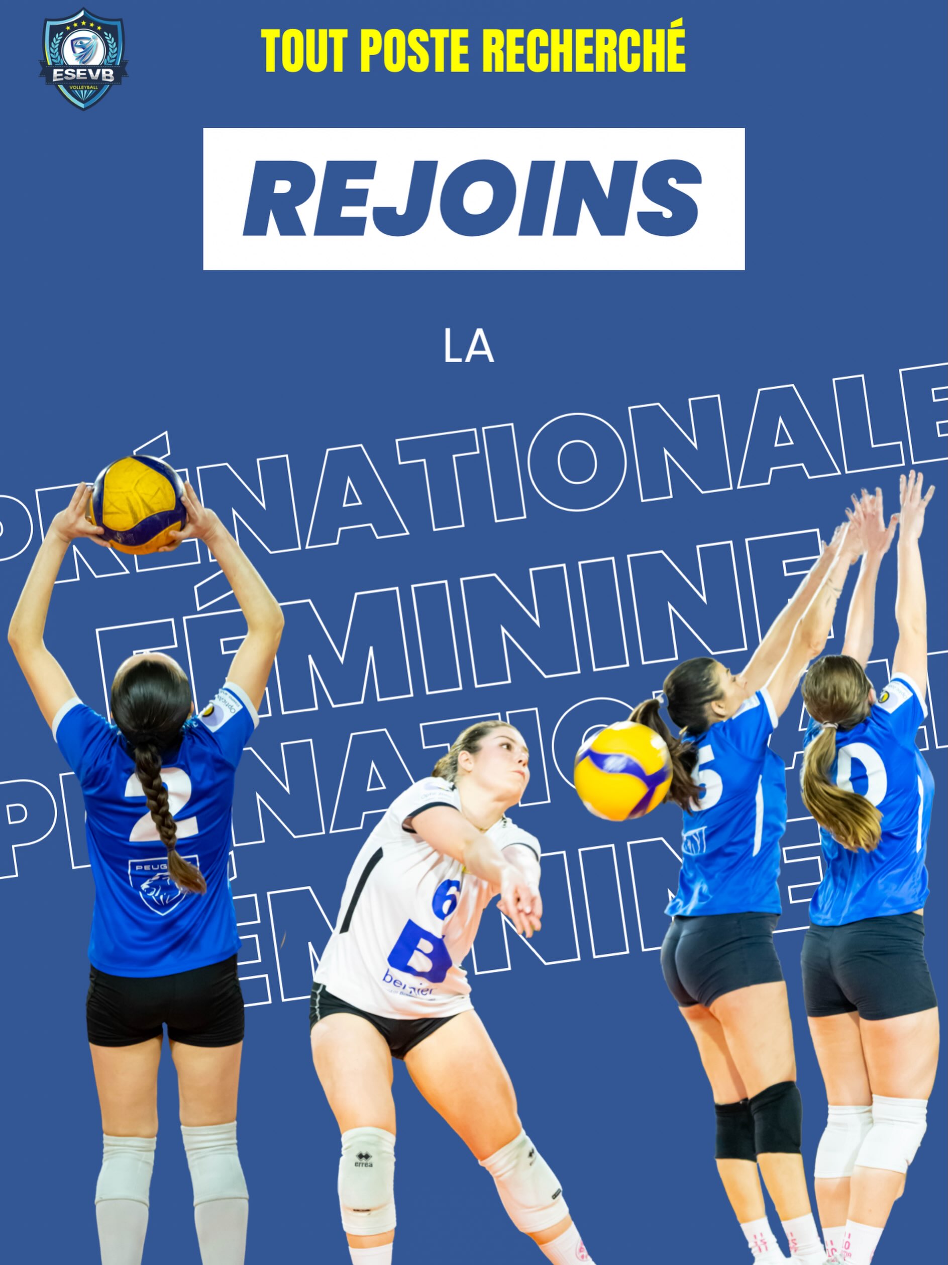 Image de l'annonce