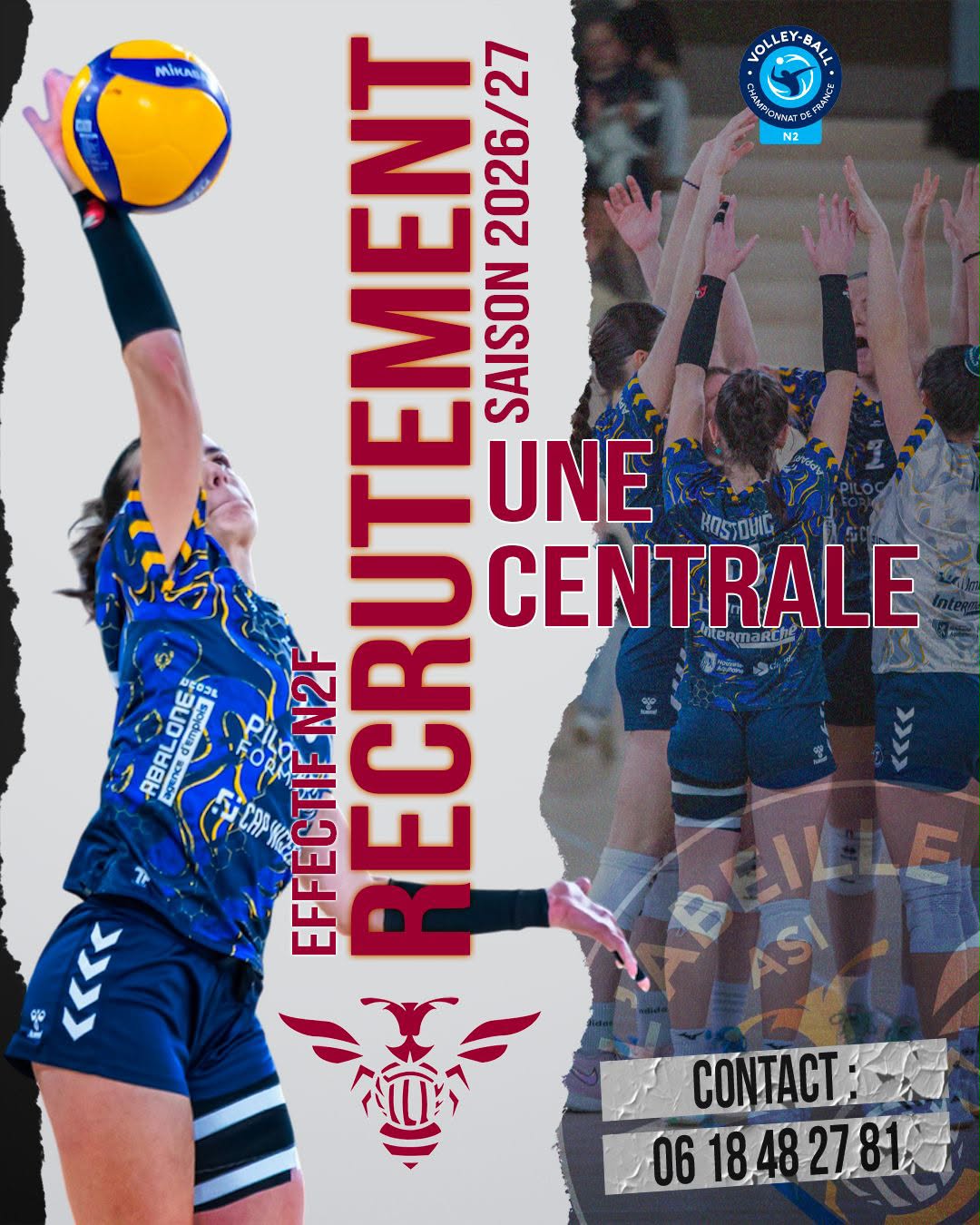 Image de l'annonce