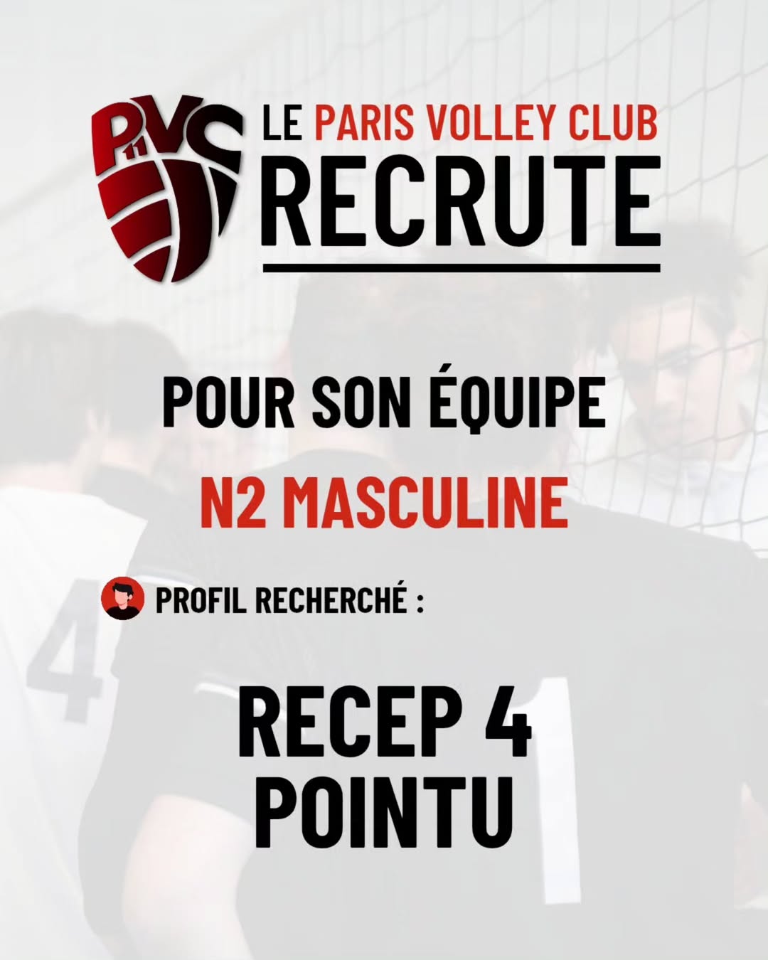 Image de l'annonce