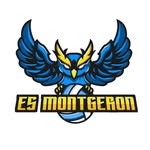 Es Montgeron volley