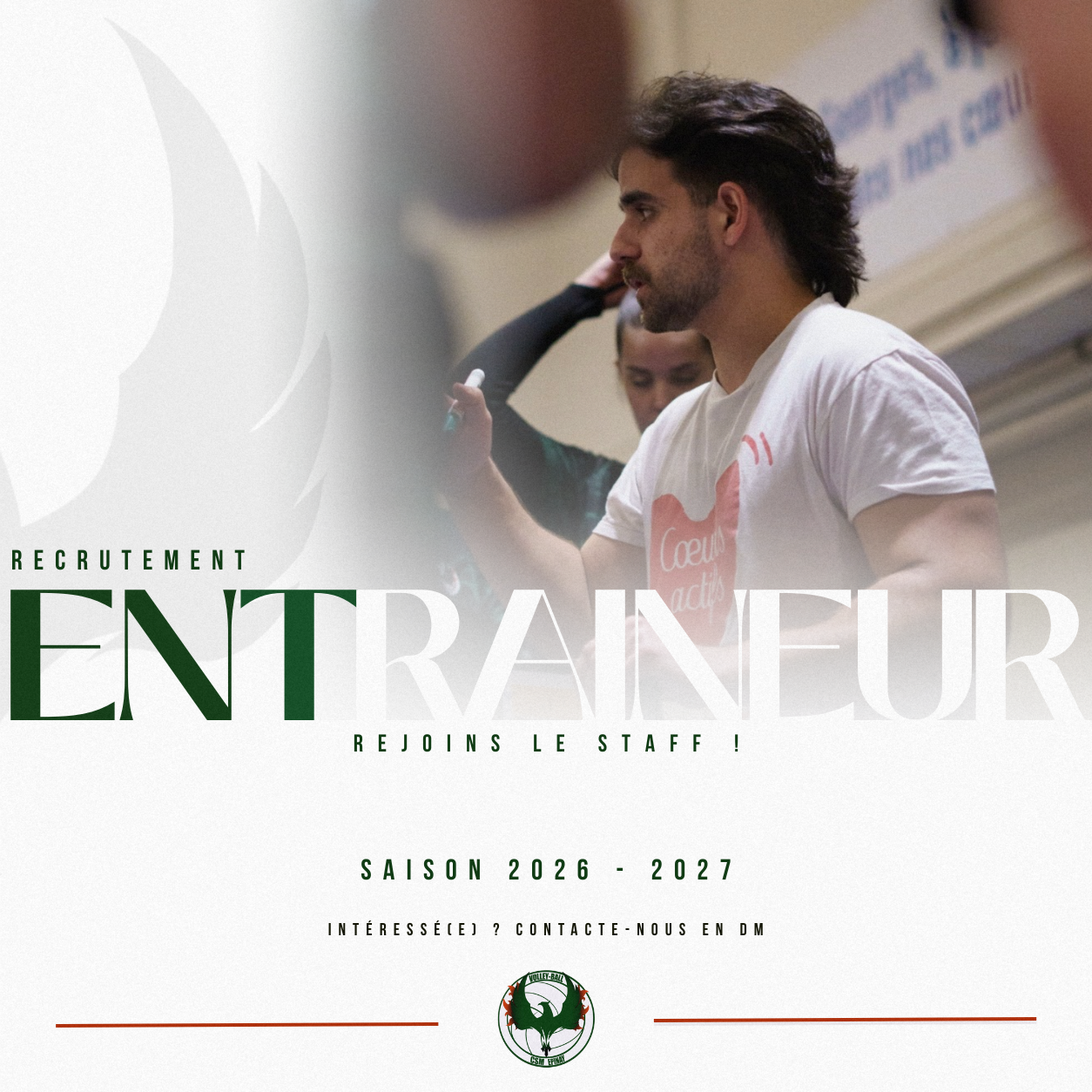 Image de l'annonce
