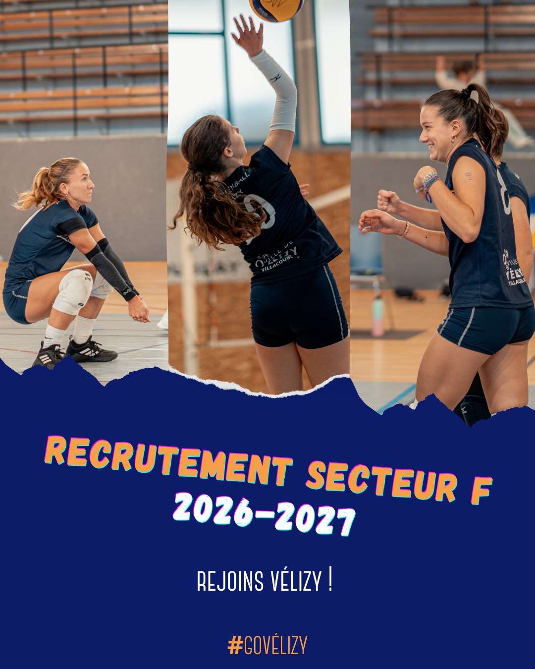 Image de l'annonce
