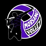 Morsang Volley