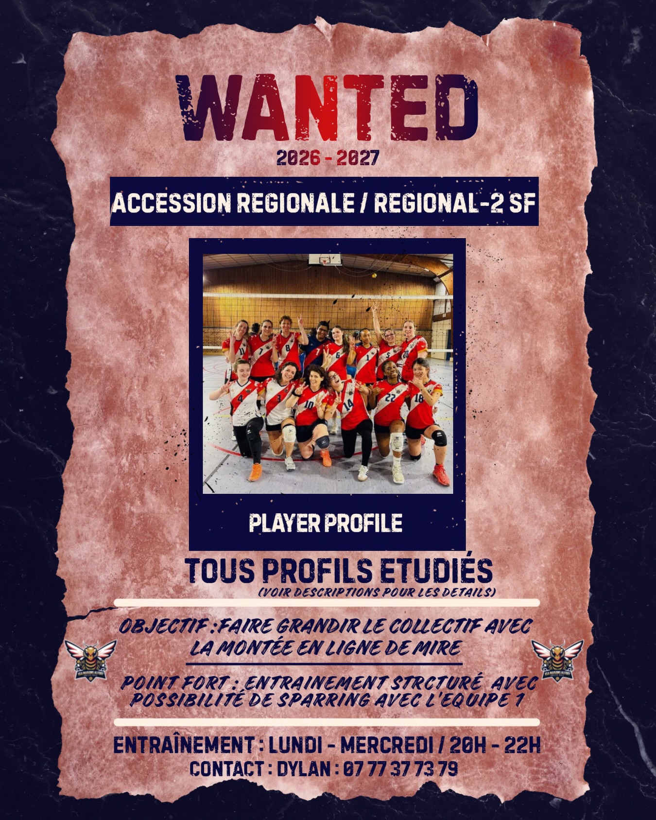 Image de l'annonce